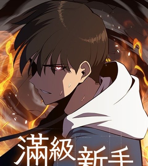 满级新手封面