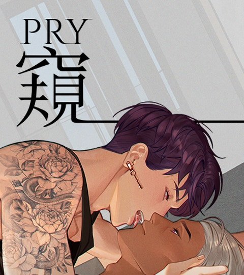 窥 Pry封面